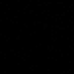 Meet your Posher, Leonard